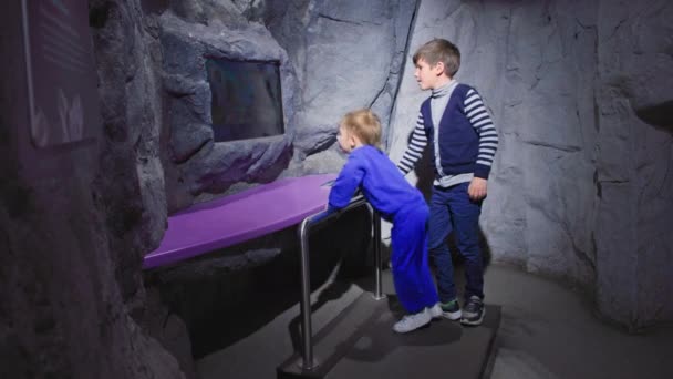 modern museum, brothers play earthquake simulator and look at screen showing impact force on screen
