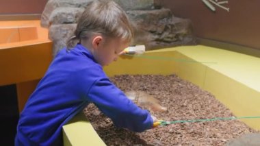 modern educational simulations for children, little boy plays with a brush, digging vase from sand in room