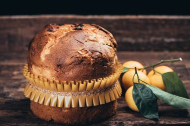 Köy masasında Noel pastası panettonu