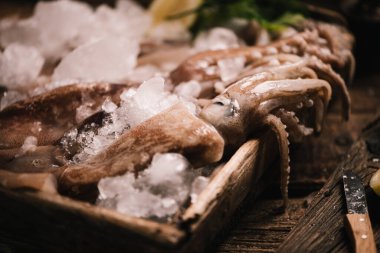 Kalamar ve mürekkep balıkları markette balık avladı.