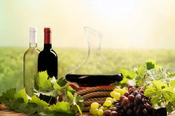 Two Bottles Wines Decanter Vineyard Background Close Fotos De Stock