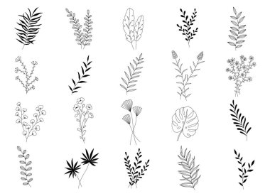 Vektör el süsleme için çiçek unsurları çizdi. Bitkiler, dallar, çiçekler ve yapraklar. Giysi baskıları, sosyal ağlar tasarımı, tebrik kartları, simgeler, dekorasyon için mükemmel