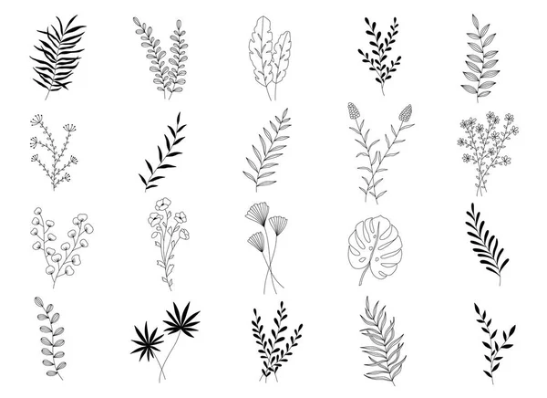 Elementos Florales Dibujados Mano Vectoriales Para Decoración Plantas Ramas Flores — Vector de stock