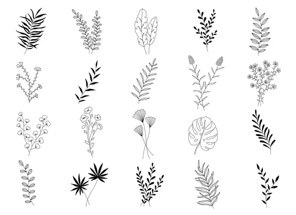 Vector Handgezeichnete Florale Elemente Zur Dekoration Pflanzen Zweige Blumen Und lizenzfreie Stockvektoren