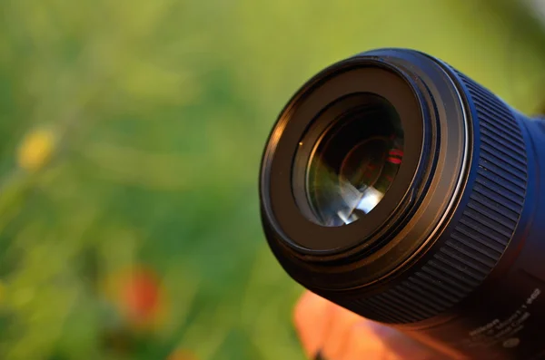 Lente — Fotografia de Stock