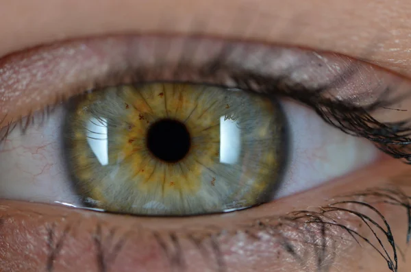 Eyes — Stock Photo, Image