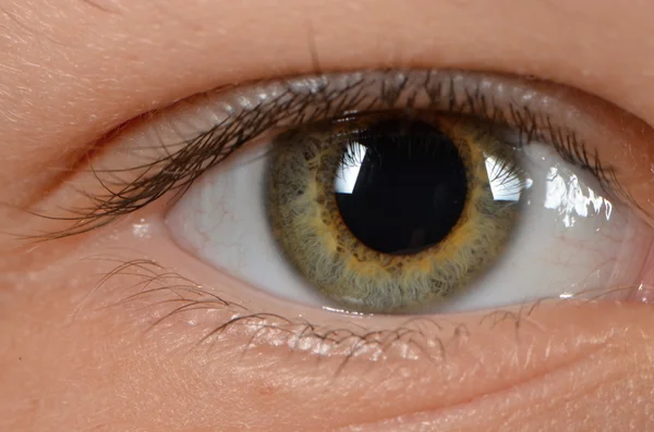 Человеческий глаз — стоковое фото