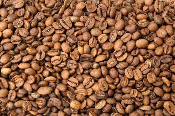 Coffee Bean Background — Stock Photo, Image