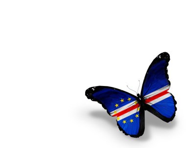 cape verde bayrak kelebek, beyaz zemin üzerine izole