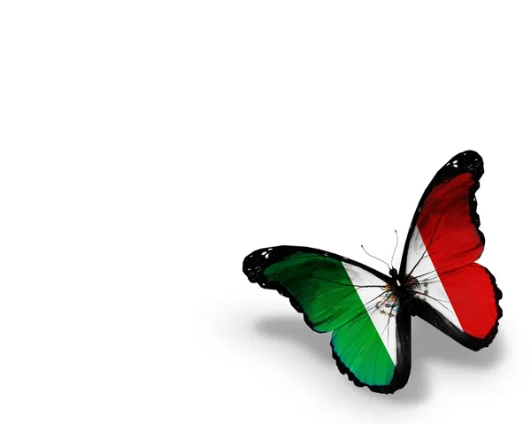 United Mexican States flag butterfly, isolated on white backgrou — Stock Photo, Image