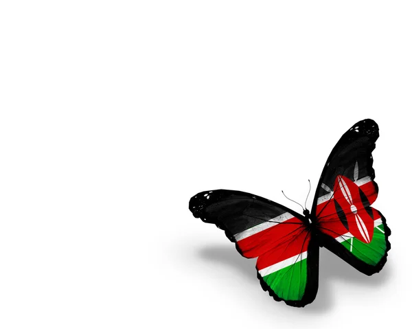 Флаг Кении бабочка, изолированные на белом фоне — стоковое фото