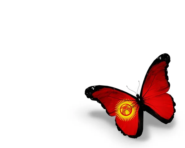 Kyrgyz Flagge Schmetterling, isoliert auf weißem Hintergrund — Stockfoto