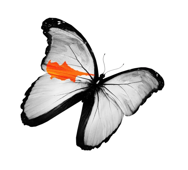 Cyprian flag butterfly flying, isolated on white background — Stock Photo, Image