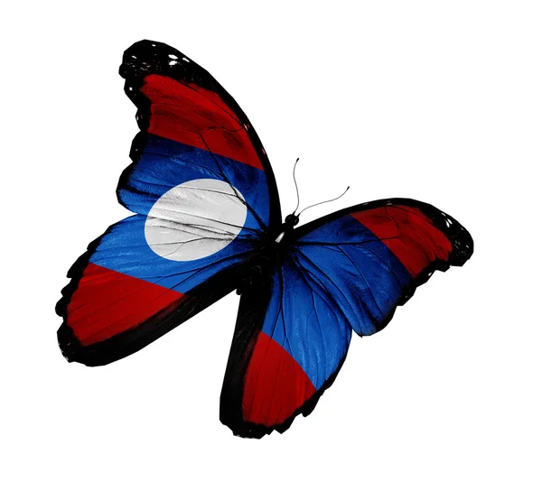 Laoská vlajka motýl létání, izolované na bílém pozadí — Stock fotografie