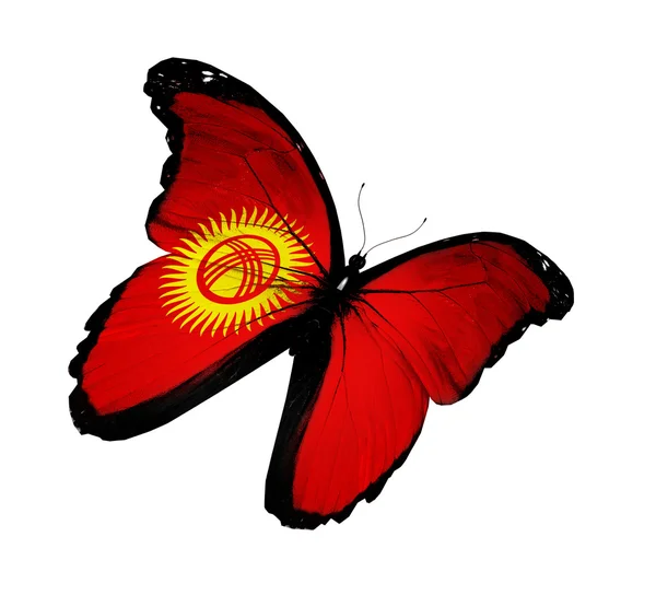 Drapeau kirghize papillon volant, isolé sur fond blanc — Photo