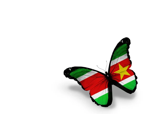 Suriname flag butterfly, isolated on white background — Stock Photo, Image