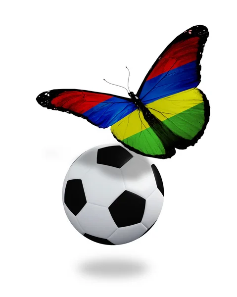 Concept - butterfly with Mauritius flag flying near the ball, li — Stock Photo, Image