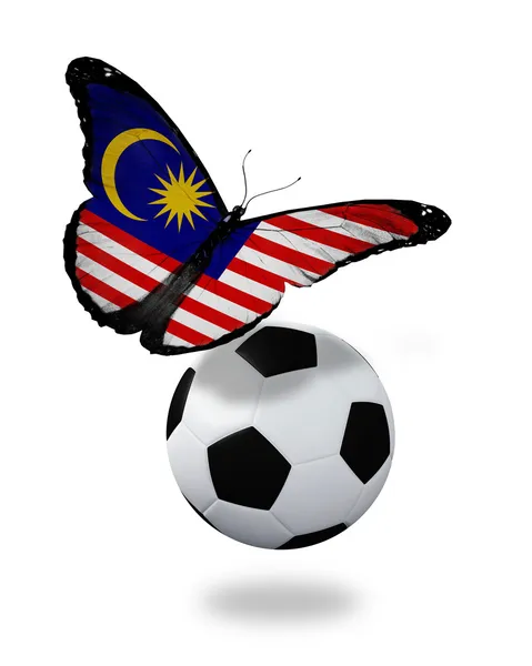 Conceito - borboleta com bandeira da Malásia voando perto da bola, li — Fotografia de Stock