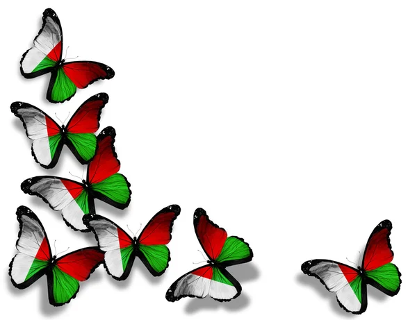 Madagaskar vlag vlinders, geïsoleerd op witte achtergrond — Stockfoto