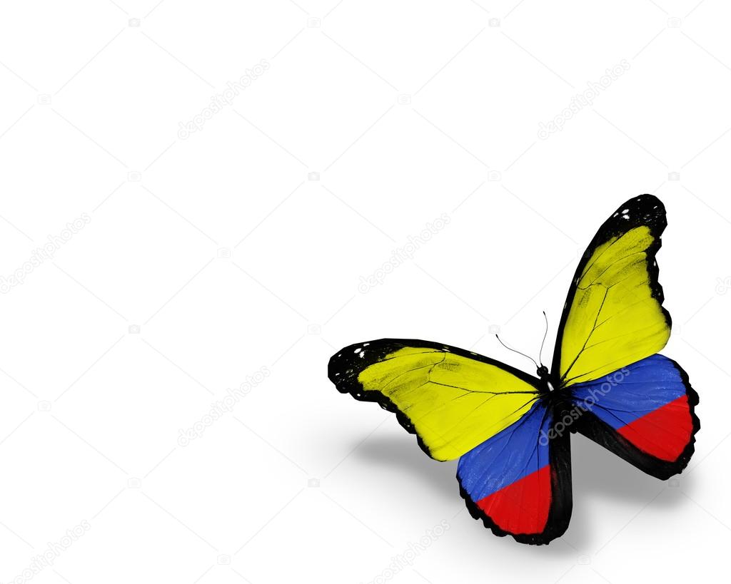 Colombia flag butterfly, isolated on white background