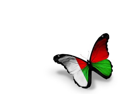 Madagaskar bayrağı kelebek, beyaz zemin üzerine izole