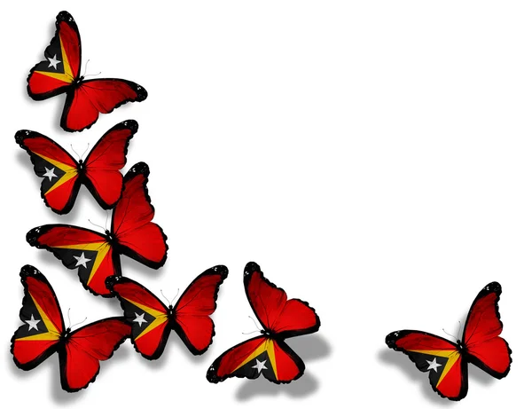 Mariposas bandera de Timor Oriental, aisladas sobre fondo blanco —  Fotos de Stock