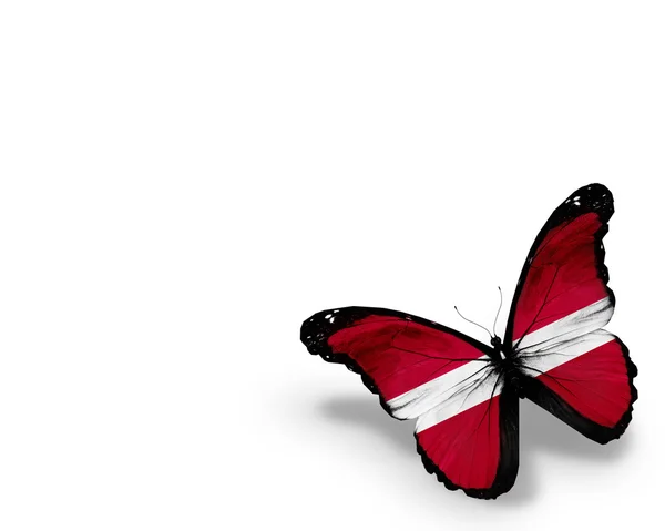 Mariposa bandera de Letonia, aislada sobre fondo blanco — Foto de Stock