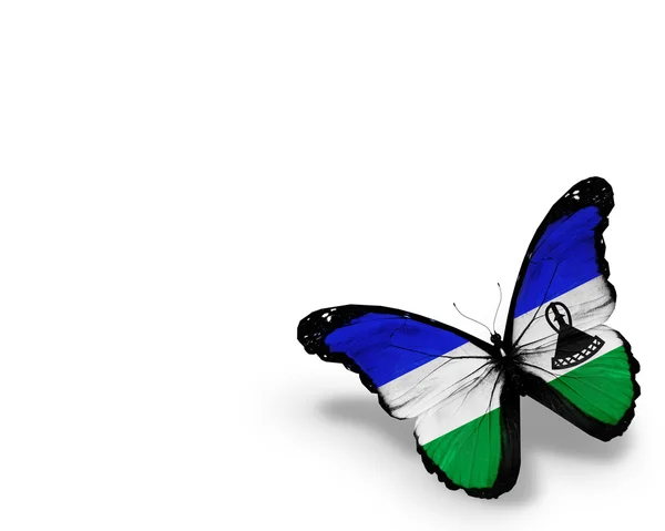 Reino Lesotho bandera mariposa, aislado sobre fondo blanco —  Fotos de Stock
