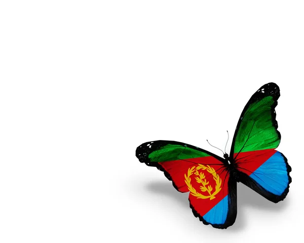 Eritrea vlag vlinder, geïsoleerd op witte achtergrond — Stockfoto