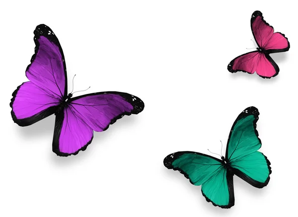 Tre fjäril "morpho", isolerade på vit bakgrund — Stockfoto