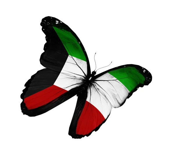 Флаг Кувейта бабочка летит, изолированные на белом фоне — стоковое фото
