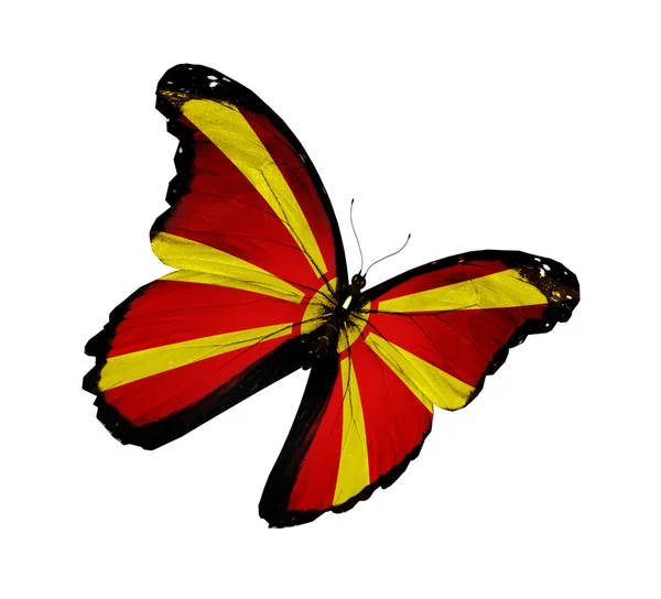 Bandeira macedónia borboleta voando, isolado em fundo branco — Fotografia de Stock