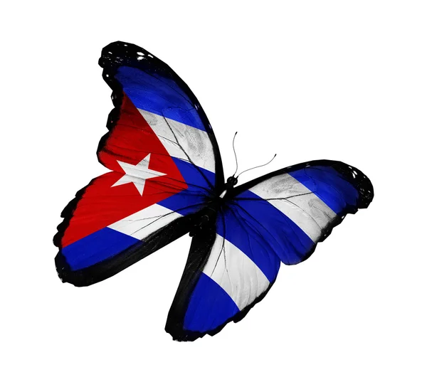 古巴国旗蝴蝶飞，孤立在白色背景 — 图库照片