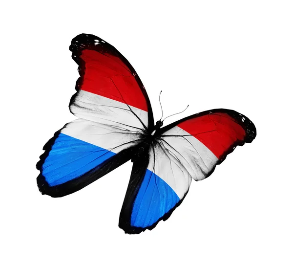 Luxembourgs flaggflyging med sommerfugl, isolert på hvit bakgrunn – stockfoto
