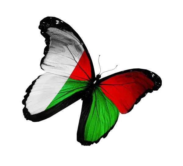 Motyl flaga Madagaskaru latający na białym tle na białym tle — Zdjęcie stockowe