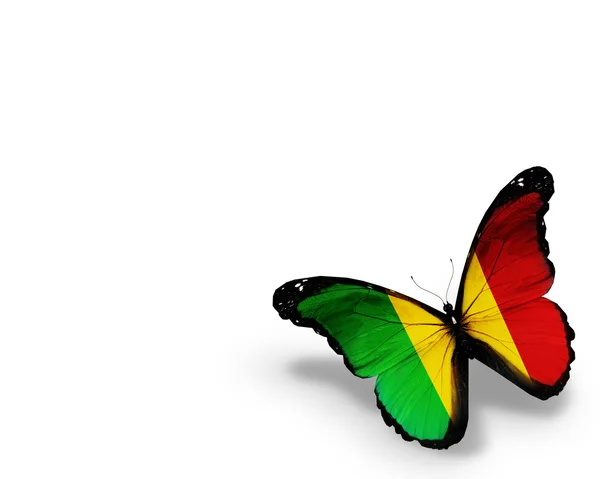 Mali flag butterfly, isolated on white background — Stock Photo, Image