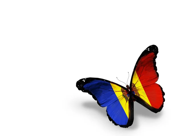 Moldavian flag butterfly, isolated on white background — Stock Photo, Image