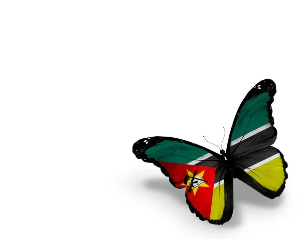 Бабочка с флагом Мозамбика, изолированная на белом фоне — стоковое фото