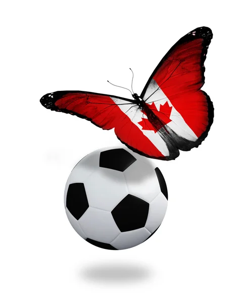 Concetto - farfalla con bandiera canadese che batte vicino alla palla, lik — Foto Stock