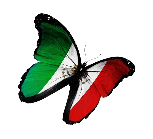 Bandeira mexicana borboleta voando, isolado no fundo branco — Fotografia de Stock