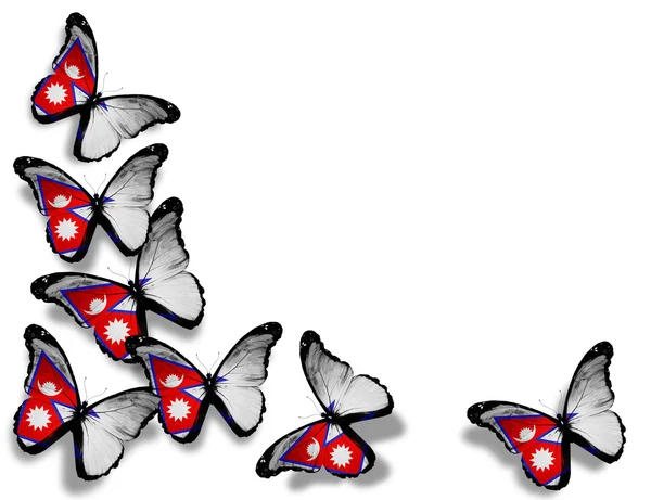 Nepál vlajky motýly, izolovaných na bílém pozadí — Stock fotografie
