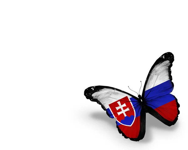 Slovakiska flagga fjäril, isolerad på vit bakgrund — Stockfoto