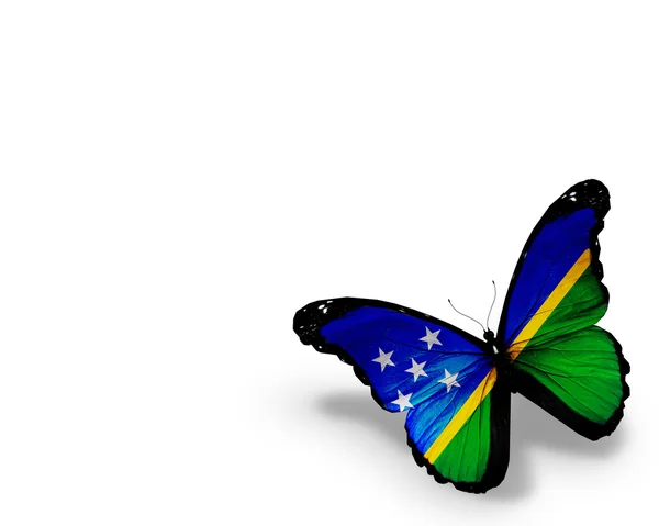 Mariposa bandera de las Islas Salomón, aislada sobre fondo blanco — Foto de Stock