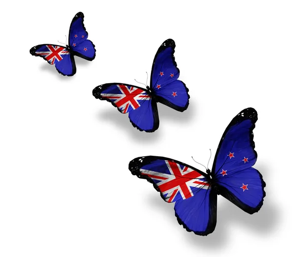 Trois papillons drapeau néo-zélandais, isolés sur blanc — Photo