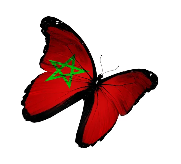 Drapeau Marocain Images Libres De Droit Photos De Drapeau Marocain Depositphotos