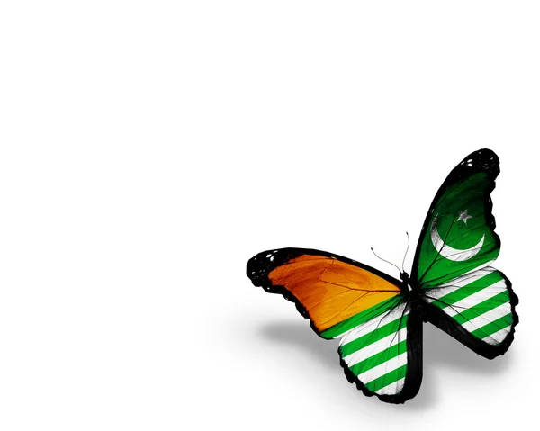 Azad Kashmir flag butterfly, isolated on white background — Stock Photo, Image