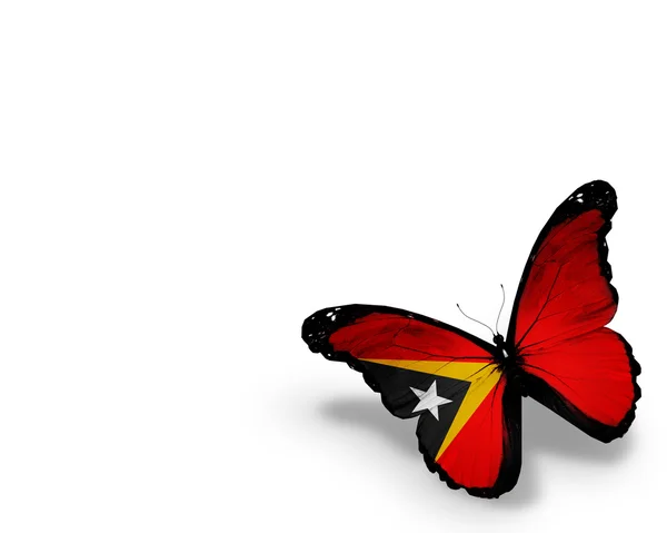 Oost-timor vlag vlinder, geïsoleerd op witte achtergrond — Stockfoto