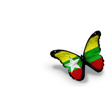 Beyaz arka plan üzerinde izole myanmar bayrağı kelebek