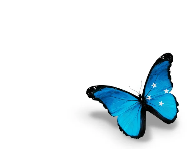 密克罗尼西亚联邦国旗只蝴蝶，在白色背景上孤立 — 图库照片