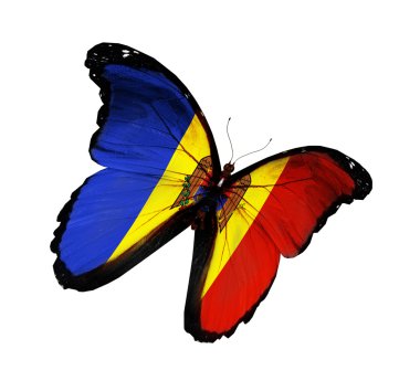 Moldova bayrağı kelebek uçuyor, izole üzerinde beyaz arka plan